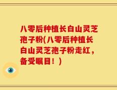 八零后种植长白山灵芝孢子粉(八零后种植长白山灵芝孢子粉走红，备受瞩目！)