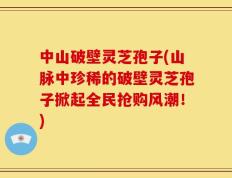 中山破壁灵芝孢子(山脉中珍稀的破壁灵芝孢子掀起全民抢购风潮！)