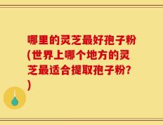 哪里的灵芝最好孢子粉(世界上哪个地方的灵芝最适合提取孢子粉？)