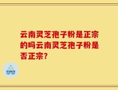 云南灵芝孢子粉是正宗的吗云南灵芝孢子粉是否正宗？