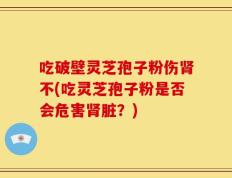 吃破壁灵芝孢子粉伤肾不(吃灵芝孢子粉是否会危害肾脏？)