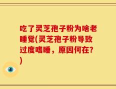 吃了灵芝孢子粉为啥老睡觉(灵芝孢子粉导致过度嗜睡，原因何在？)