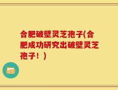 合肥破壁灵芝孢子(合肥成功研究出破壁灵芝孢子！)