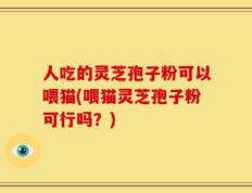 人吃的灵芝孢子粉可以喂猫(喂猫灵芝孢子粉可行吗？)
