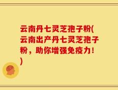 云南丹七灵芝孢子粉(云南出产丹七灵芝孢子粉，助你增强免疫力！)