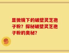 显微镜下的破壁灵芝孢子粉？探秘破壁灵芝孢子粉的奥秘？