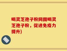 喝灵芝孢子粉网图喝灵芝孢子粉，促进免疫力提升)