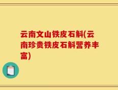 云南文山铁皮石斛(云南珍贵铁皮石斛营养丰富)