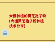 大棚种植的灵芝孢子粉(大棚灵芝孢子粉种植技术分享)