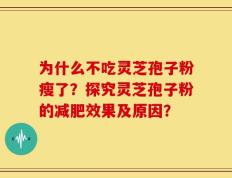 为什么不吃灵芝孢子粉瘦了？探究灵芝孢子粉的减肥效果及原因？