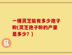 一棵灵芝能有多少孢子粉(灵芝孢子粉的产量是多少？)