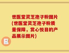 世医堂灵芝孢子粉图片(世医堂灵芝孢子粉质量保障，赏心悦目的产品展示图片)
