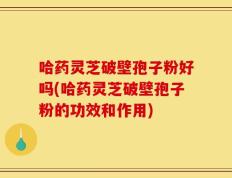 哈药灵芝破壁孢子粉好吗(哈药灵芝破壁孢子粉的功效和作用)