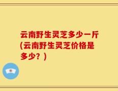 云南野生灵芝多少一斤(云南野生灵芝价格是多少？)
