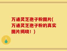 万通灵芝孢子粉图片(万通灵芝孢子粉的真实图片揭晓！)