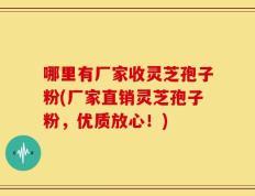 哪里有厂家收灵芝孢子粉(厂家直销灵芝孢子粉，优质放心！)