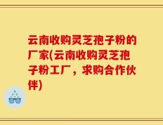 云南收购灵芝孢子粉的厂家(云南收购灵芝孢子粉工厂，求购合作伙伴)
