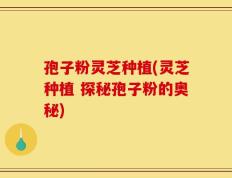 孢子粉灵芝种植(灵芝种植 探秘孢子粉的奥秘)