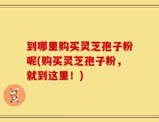 到哪里购买灵芝孢子粉呢(购买灵芝孢子粉，就到这里！)
