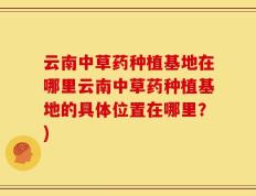 云南中草药种植基地在哪里云南中草药种植基地的具体位置在哪里？)