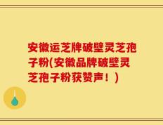 安徽运芝牌破壁灵芝孢子粉(安徽品牌破壁灵芝孢子粉获赞声！)
