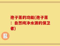 孢子莲的功能(孢子莲：自然纯净水源的保卫者)