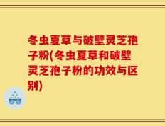 冬虫夏草与破壁灵芝孢子粉(冬虫夏草和破壁灵芝孢子粉的功效与区别)