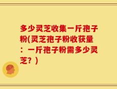 多少灵芝收集一斤孢子粉(灵芝孢子粉收获量：一斤孢子粉需多少灵芝？)