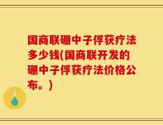国商联硼中子俘获疗法多少钱(国商联开发的硼中子俘获疗法价格公布。)