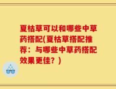 夏枯草可以和哪些中草药搭配(夏枯草搭配推荐：与哪些中草药搭配效果更佳？)