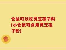 仓鼠可以吃灵芝孢子粉(小仓鼠可食用灵芝孢子粉)