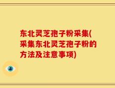 东北灵芝孢子粉采集(采集东北灵芝孢子粉的方法及注意事项)