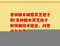 吉林椴木破壁灵芝孢子粉(吉林椴木灵芝孢子粉突破技术壁垒，问世成为新宠！)