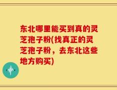 东北哪里能买到真的灵芝孢子粉(找真正的灵芝孢子粉，去东北这些地方购买)
