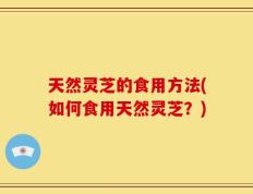 天然灵芝的食用方法(如何食用天然灵芝？)