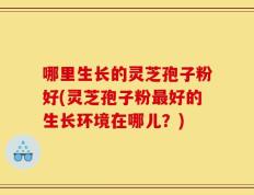 哪里生长的灵芝孢子粉好(灵芝孢子粉最好的生长环境在哪儿？)