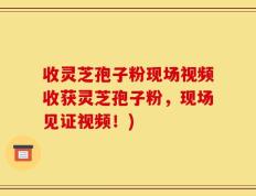 收灵芝孢子粉现场视频收获灵芝孢子粉，现场见证视频！)