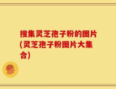 搜集灵芝孢子粉的图片(灵芝孢子粉图片大集合)