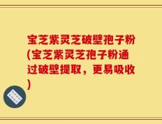 宝芝紫灵芝破壁孢子粉(宝芝紫灵芝孢子粉通过破壁提取，更易吸收)