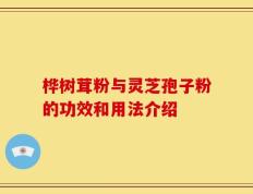 桦树茸粉与灵芝孢子粉的功效和用法介绍