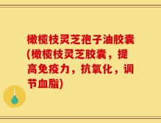 橄榄枝灵芝孢子油胶囊(橄榄枝灵芝胶囊，提高免疫力，抗氧化，调节血脂)