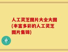 人工灵芝图片大全大图(丰富多彩的人工灵芝图片集锦)