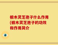 椴木灵芝孢子什么作用(椴木灵芝孢子的功效和作用简介