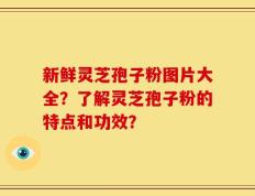 新鲜灵芝孢子粉图片大全？了解灵芝孢子粉的特点和功效？