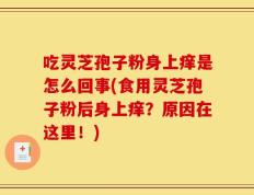 吃灵芝孢子粉身上痒是怎么回事(食用灵芝孢子粉后身上痒？原因在这里！)