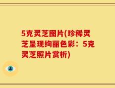 5克灵芝图片(珍稀灵芝呈现绚丽色彩：5克灵芝照片赏析)