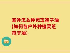室外怎么种灵芝孢子油(如何在户外种植灵芝孢子油)