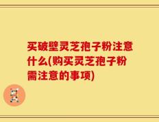 买破壁灵芝孢子粉注意什么(购买灵芝孢子粉需注意的事项)