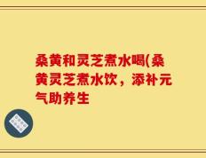 桑黄和灵芝煮水喝(桑黄灵芝煮水饮，添补元气助养生