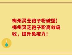 梅州灵芝孢子粉破壁(梅州灵芝孢子粉高效吸收，提升免疫力！